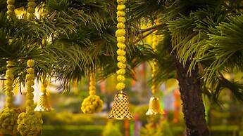 Mango Bloom River Resort