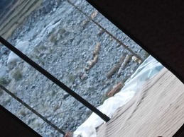 Barot Waterfall Camps And Domes