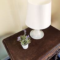 Braga Centro Direito - Hostel