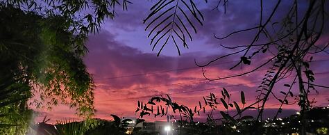 Tillett Gardens Guest House