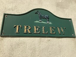Trelew