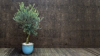 Ocean Porto - Beach House