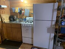 Joy's Kenai River Cabins