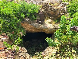 Immaculate 1-bed Apartment on Ocean View