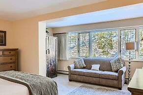 Few Minutes From Ski Resorts, Shuttle, Garage, And Beautiful Views! 2 