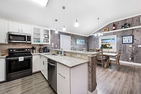 Sdl628-diving Dolphin