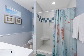 Sdl628-diving Dolphin