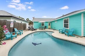 Sdl628-diving Dolphin