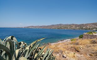 Absolute Perdika Aegina