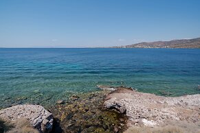 Absolute Perdika Aegina