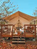 Wildhaven Sonoma Glamping
