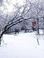 Wood Hills Hotel & Resort