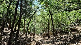 Wood Hills Hotel & Resort