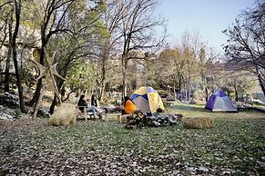 Wood Hills Hotel & Resort