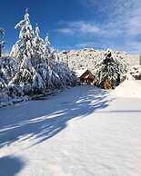 Wood Hills Hotel & Resort