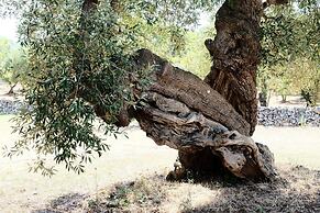 Dimora Il Calaprico by Wonderful Italy