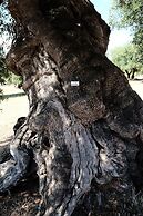 Dimora Il Calaprico by Wonderful Italy