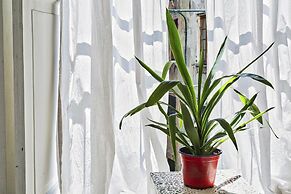 A Pochi Passi da Piazza de Ferrari