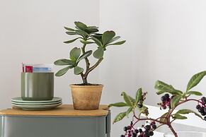 Deluxe Apartment - Green by Wonderful Italy