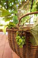 La Casa di Sara a Mondello by Wonderful Italy