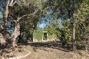 Masseria Il Roseto ai Cappuccini - Casa Delle Farfalle