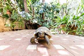 Casa Sole Luna con Giardino by Wonderful Italy