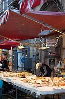 Iconic Apartment in Porta Carini by Wonderful Italy