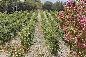 Casale Monte Kronio by Wonderful Italy