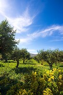 L Ulivo Blu - One-bedroom With Sea View