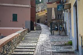 Viviboccadasse by Wonderful Italy - Primula