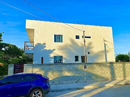 Casa do leo