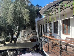 La Culta, Centro Cultural