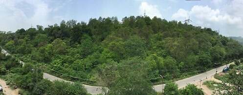 THE FOREST HILL HOTEL