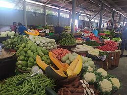 Beautiful House With Private Pool in Mauritius
