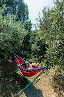 Il Laghello Wood House