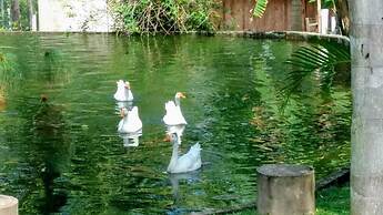 Pousada Recanto Indaiá