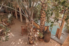 Japoneza Retreat Merida Centro