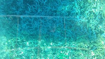 Anajawan Island Beachfront Resort