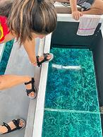 Anajawan Island Beachfront Resort