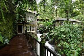 Mystic Mayapott Thekkady