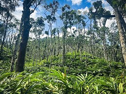 Mystic Mayapott Thekkady