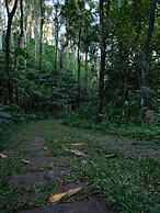 Mystic Mayapott Thekkady