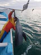 Villas Capitan Petter