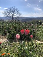 Agriturismo Poggio Monte