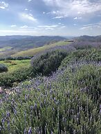 Agriturismo Poggio Monte