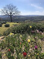 Agriturismo Poggio Monte