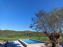SOUS LES PINS