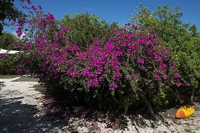 Touch Of Class 3 Bedroom Home