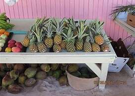Coconut Point 3 Bedroom Home
