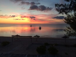 Cocodimama 14 Bedroom Hotel Room